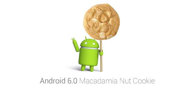 Кодовое имя следующей версии Android  - Macadamia Nut Cookie (MNC)