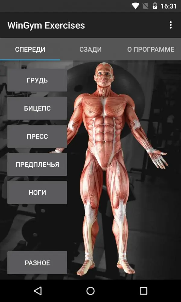 WinGym Exercises - добиваемся эффективности в прокачке