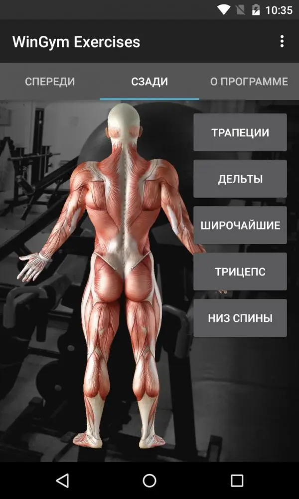 WinGym Exercises - добиваемся эффективности в прокачке