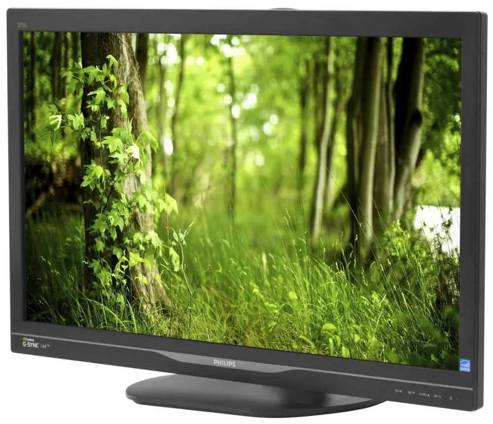 На пути к победе: обзор игрового монитора Philips 272G5DYEB
