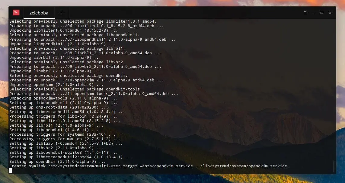 Настройка DKIM-записи для работы с sendmail на сервере с Linux Ubuntu