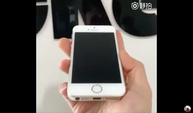 Так может выглядеть следующий бюджетный iPhone