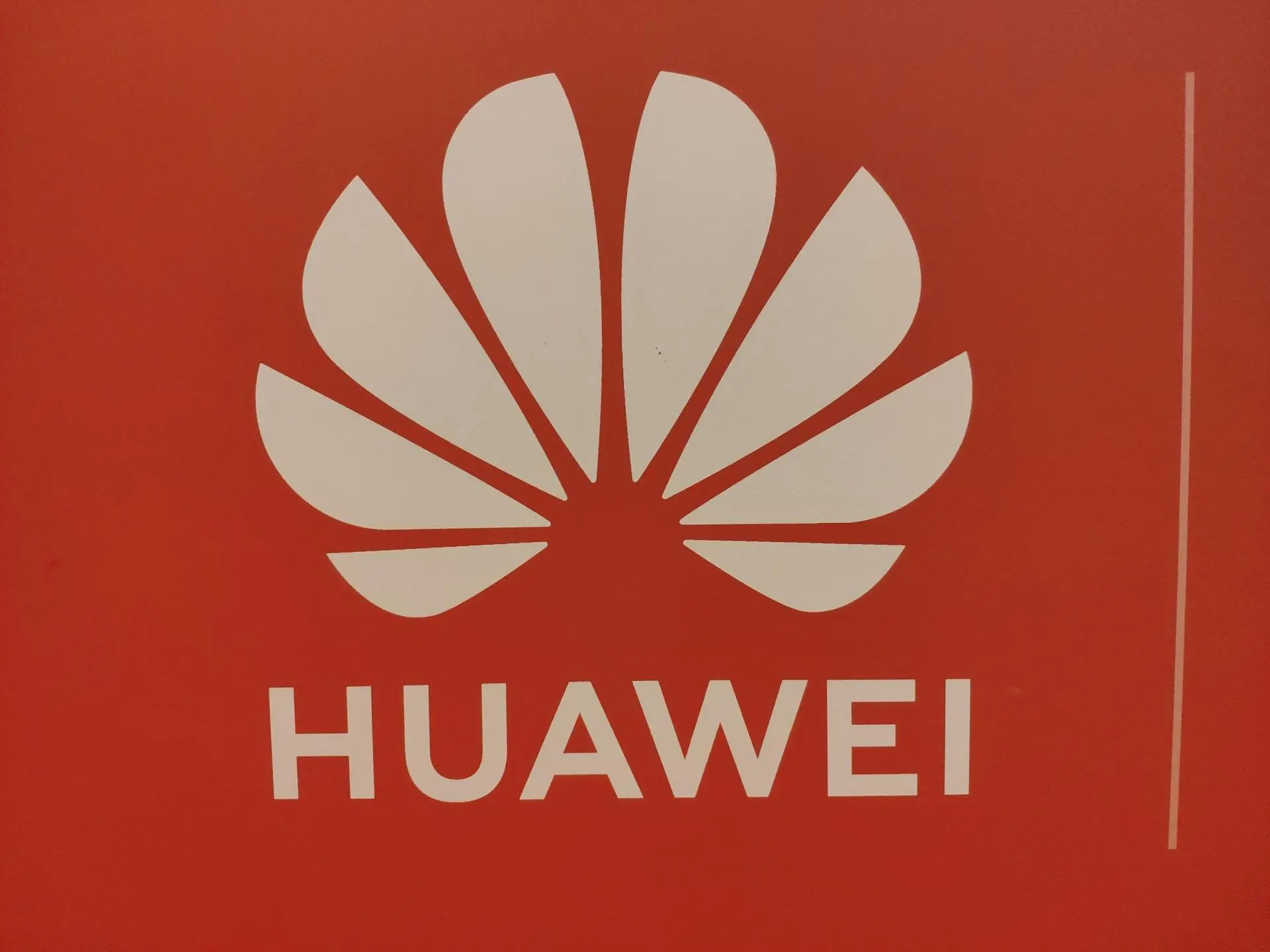 Несколько смартфонов Huawei Mate и P получают обновление до Android 10