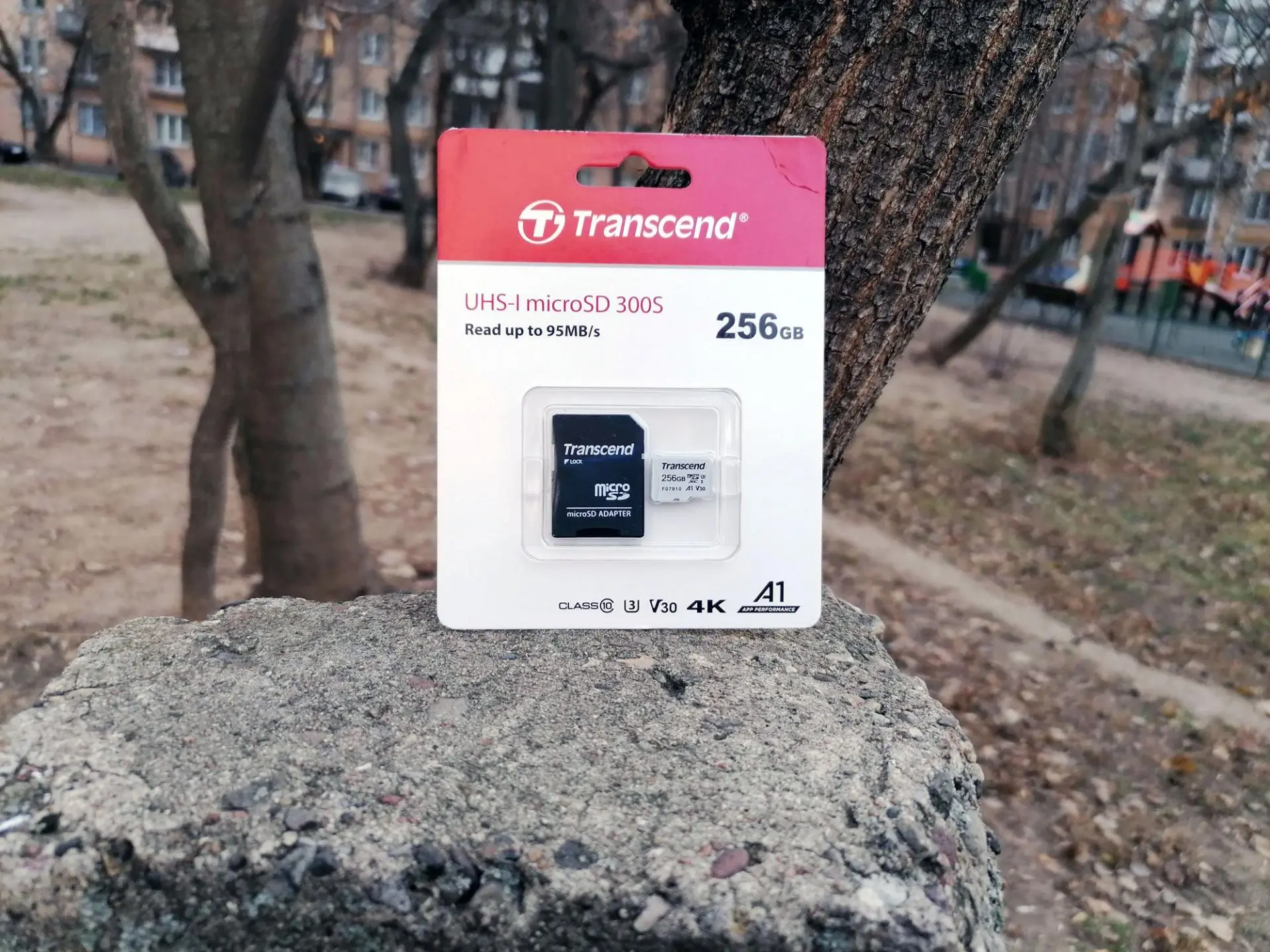Обзор карты памяти Transcend microSDXC/SDHC 300S