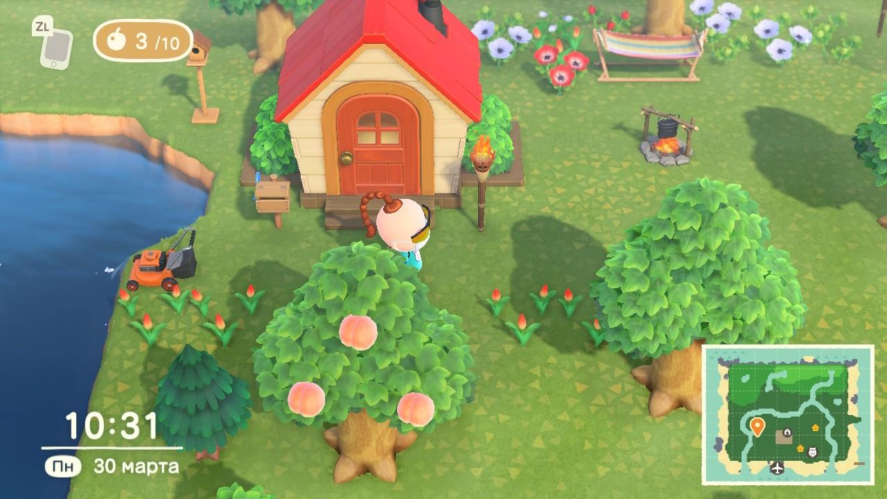 Animal Crossing New Horizons вышла на Nintendo Switch. Наш обзор игры