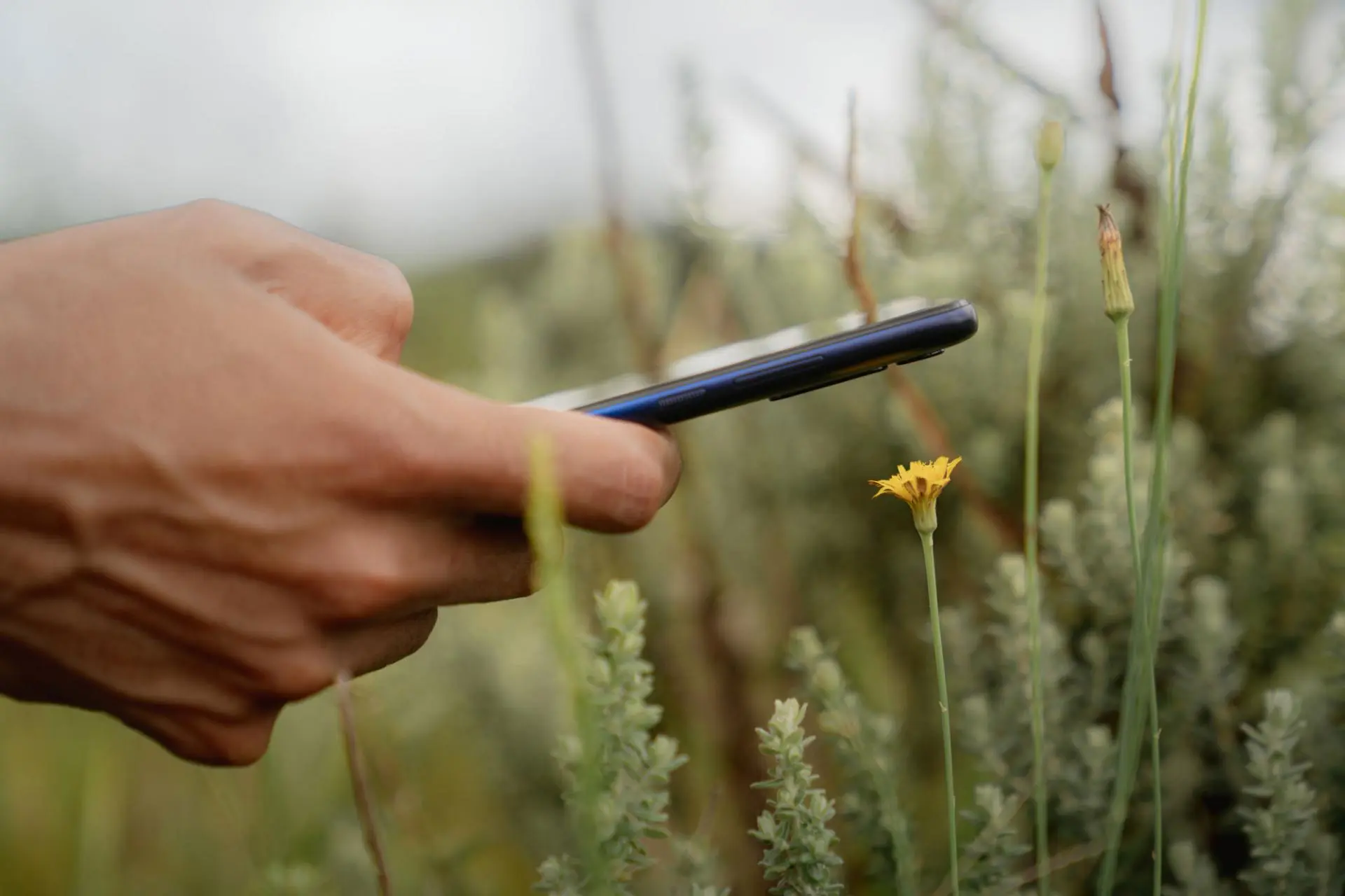 Motorola Moto G8 Power Lite анонсирован официально. Так он бюджетный или нет?