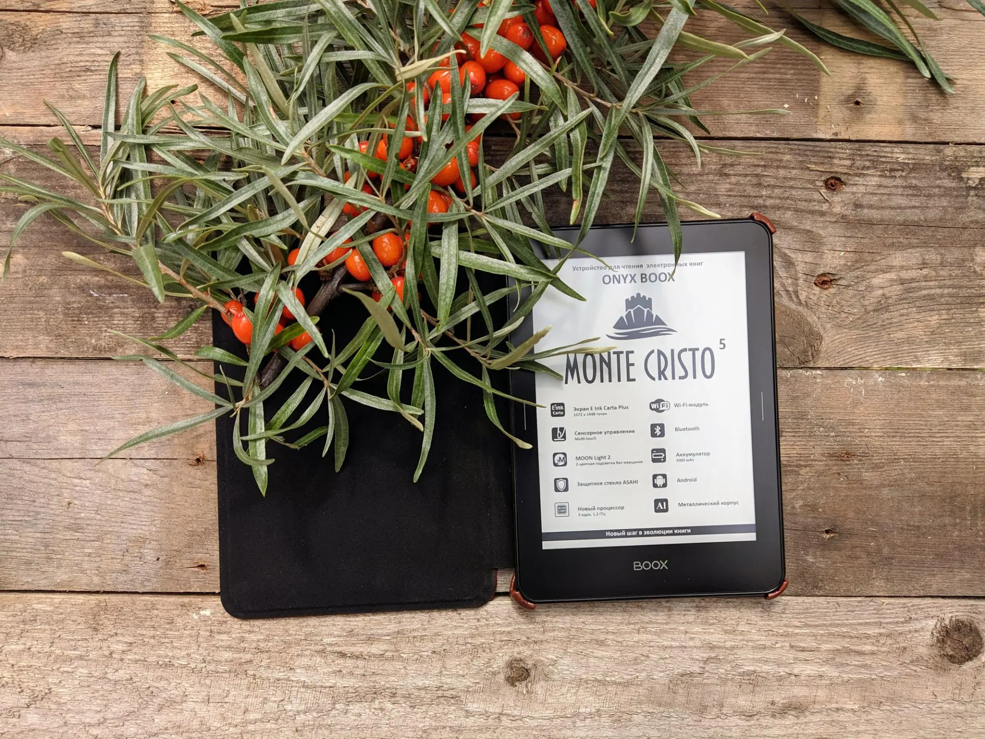 Тест-драйв электронной книги Onyx Boox Monte Cristo 5