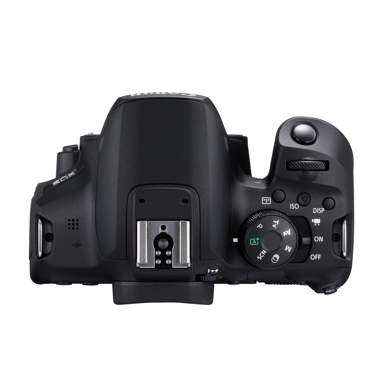 Canon выпустила зеркальный фотоаппарат EOS 850D
