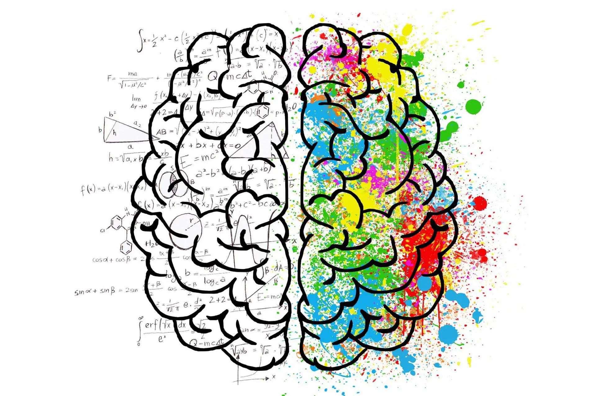 Почему высокий IQ не значит, что вы умны?