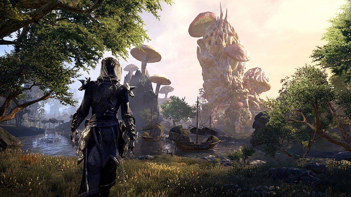 The Elder Scrolls Online стала на время бесплатной