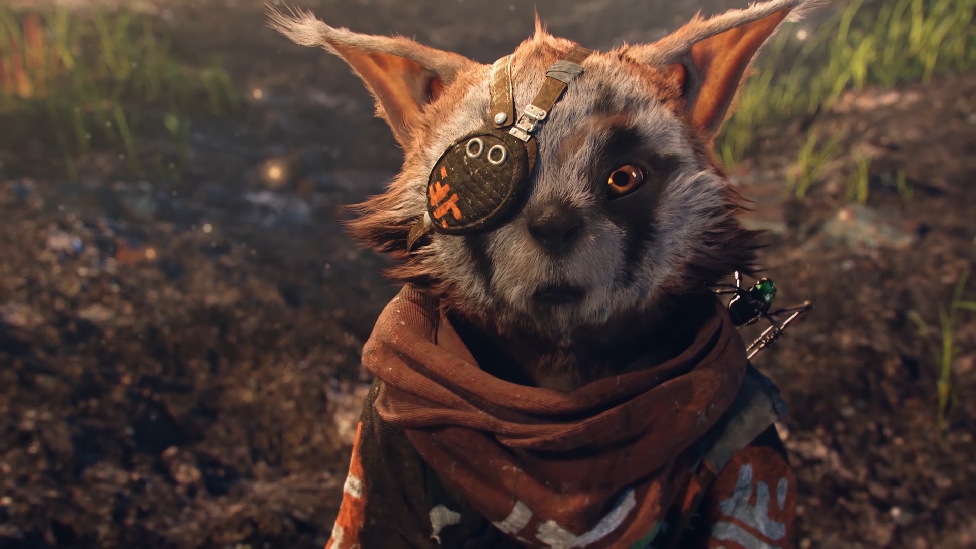 Экшн про боевого енота Biomutant не требует мощного железа. В сети появились системные требования