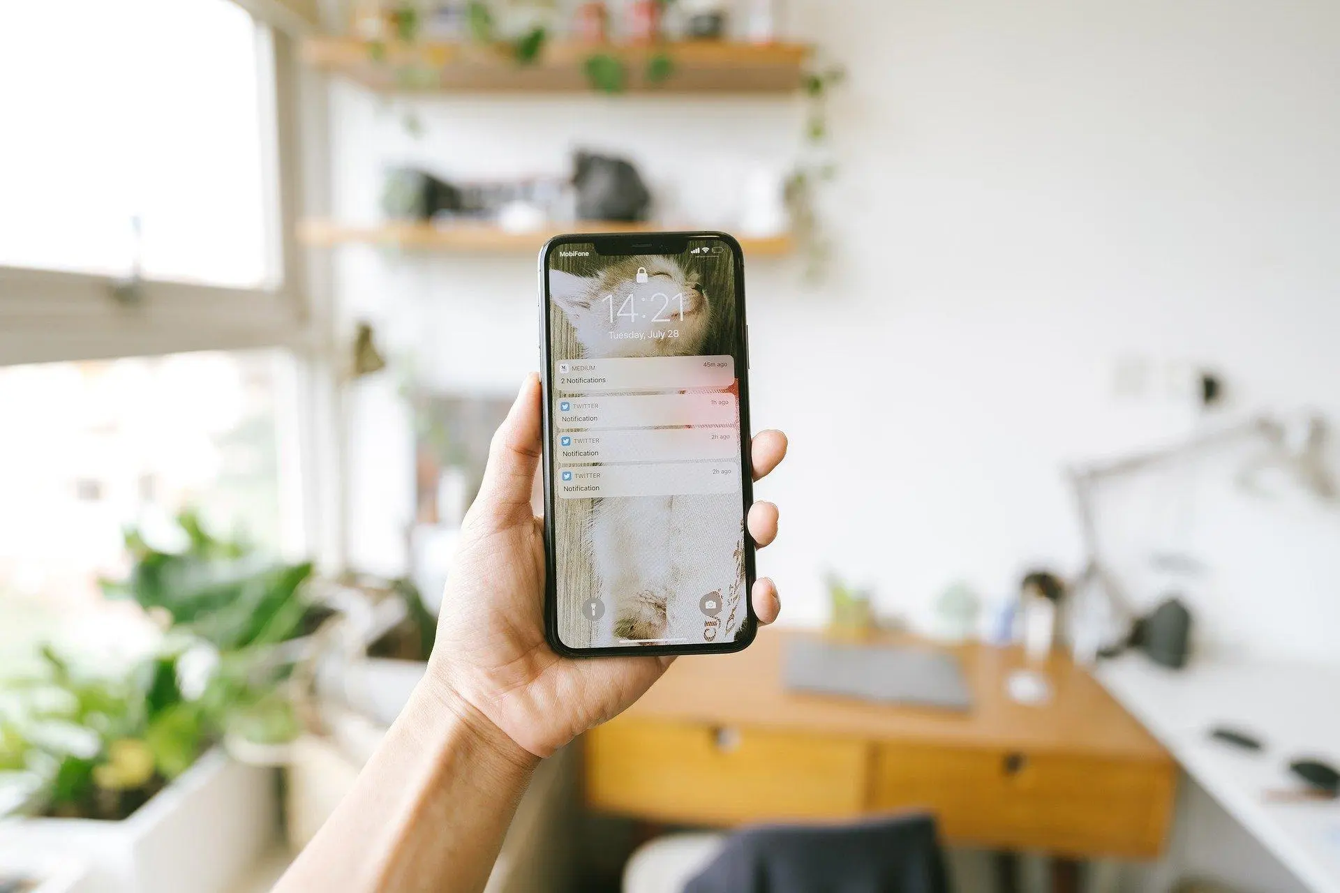 Wi-Fi на iPhone можно сломать этим названием беспроводной сети