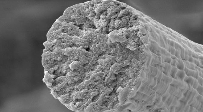 Бактерии плетут кевлар: инновационная технология