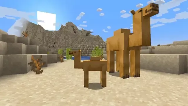 Верблюды в Minecraft 1.20