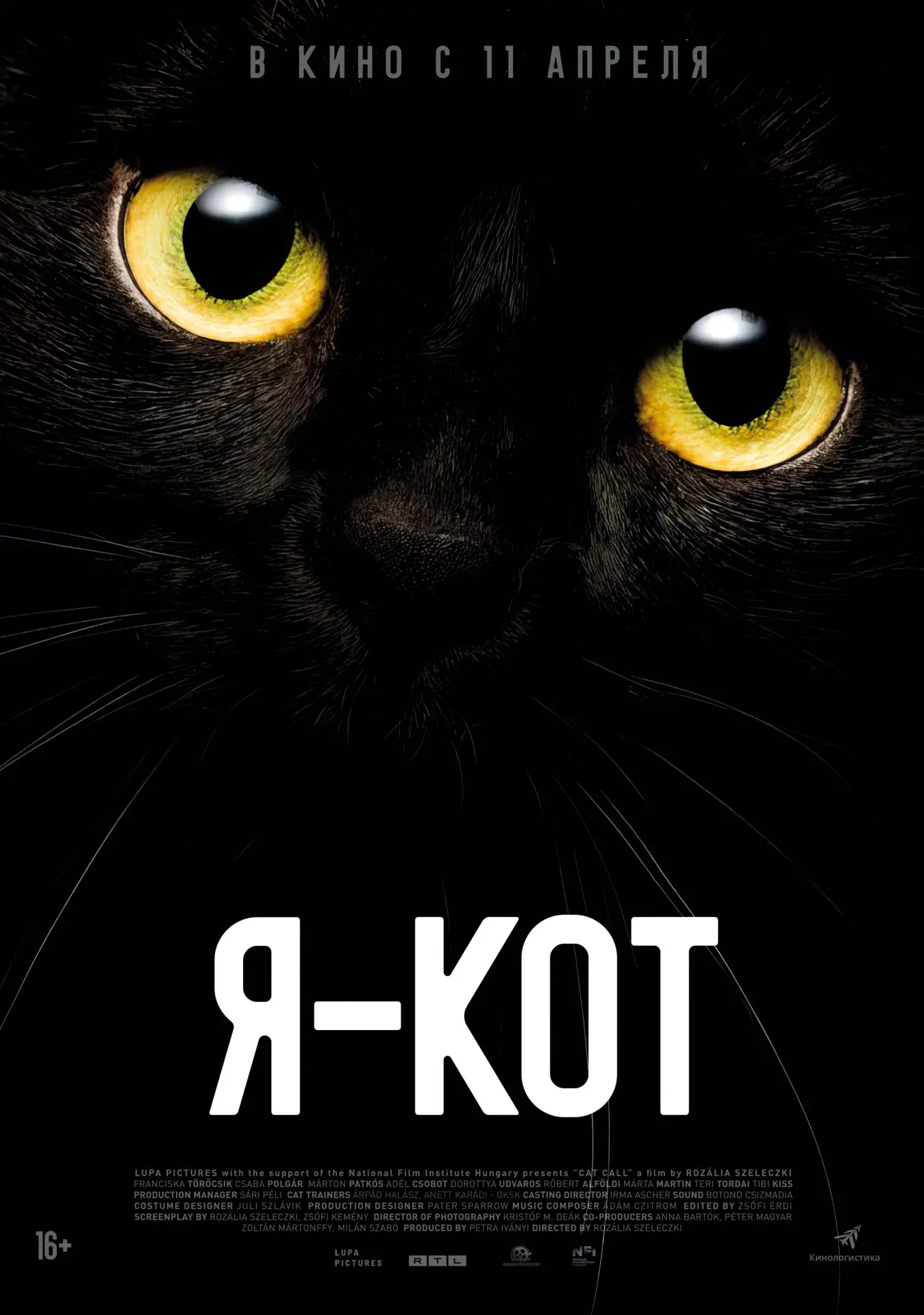 Вышел трейлер фильма Я — кот