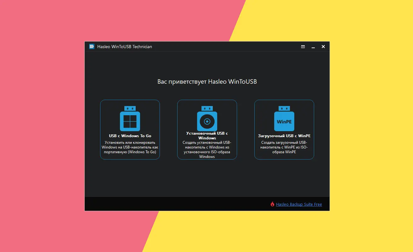 Акция от Giveaway of the Day: WinToUSB Professional бесплатно для всех, включая РФ