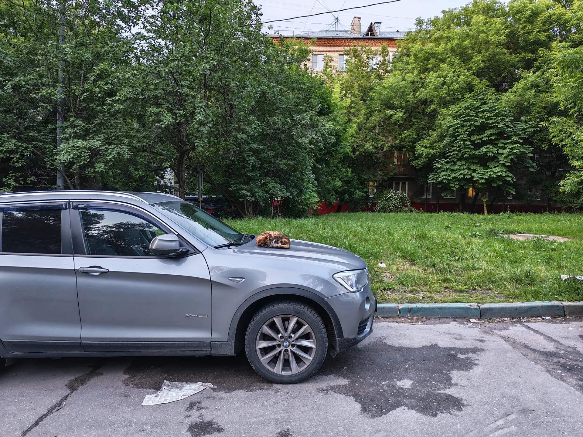 Сравнение камер: HUAWEI Pura 70 или HONOR 400 Pro