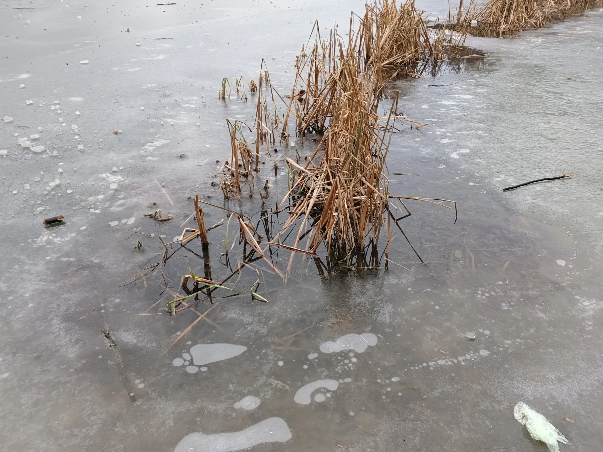 Обзор TECNO Spark 40 Pro+: элегантного смартфона с тонким корпусом и беспроводной зарядкой