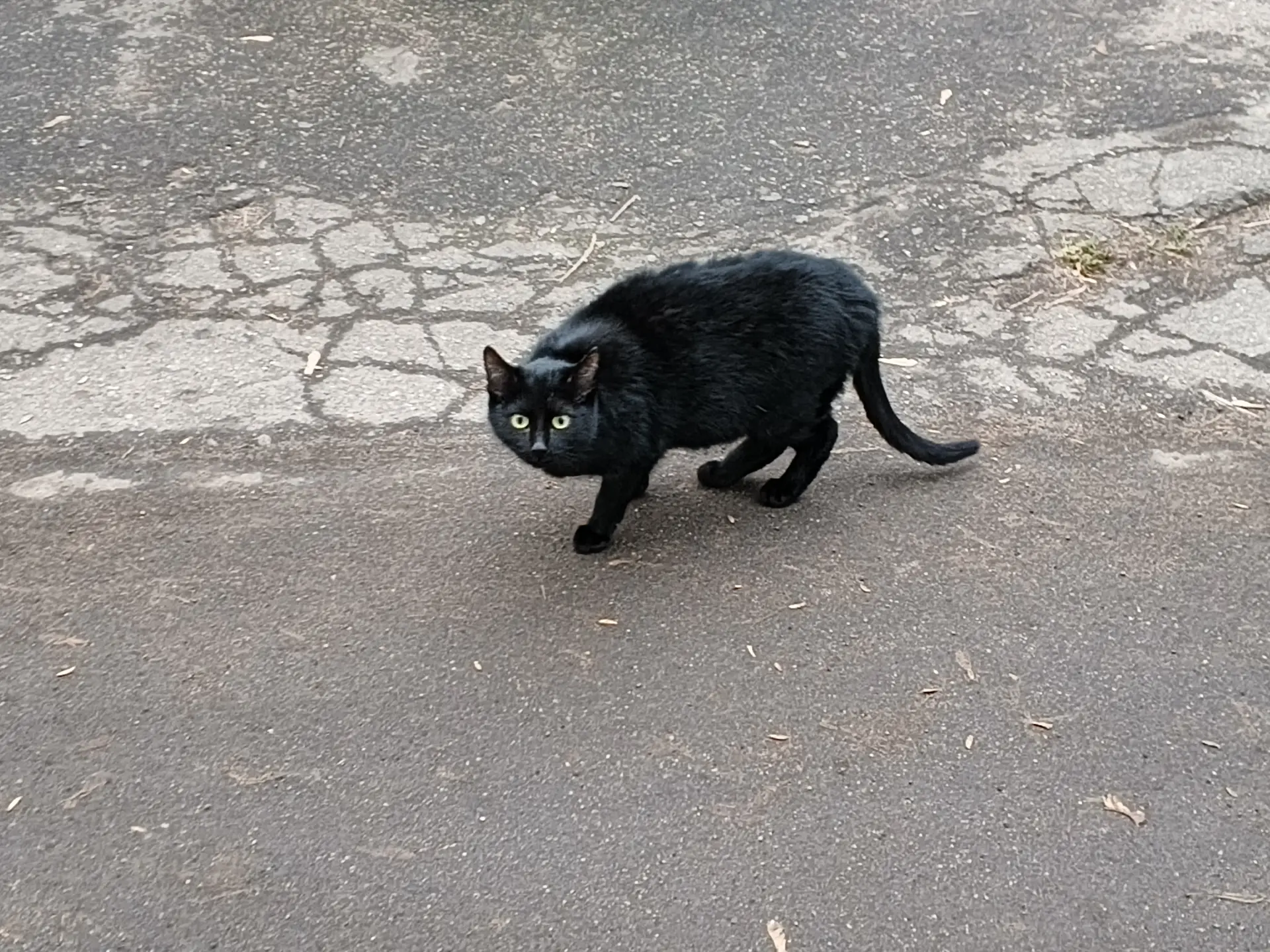 Обзор TECNO Spark 40 Pro+: элегантного смартфона с тонким корпусом и беспроводной зарядкой