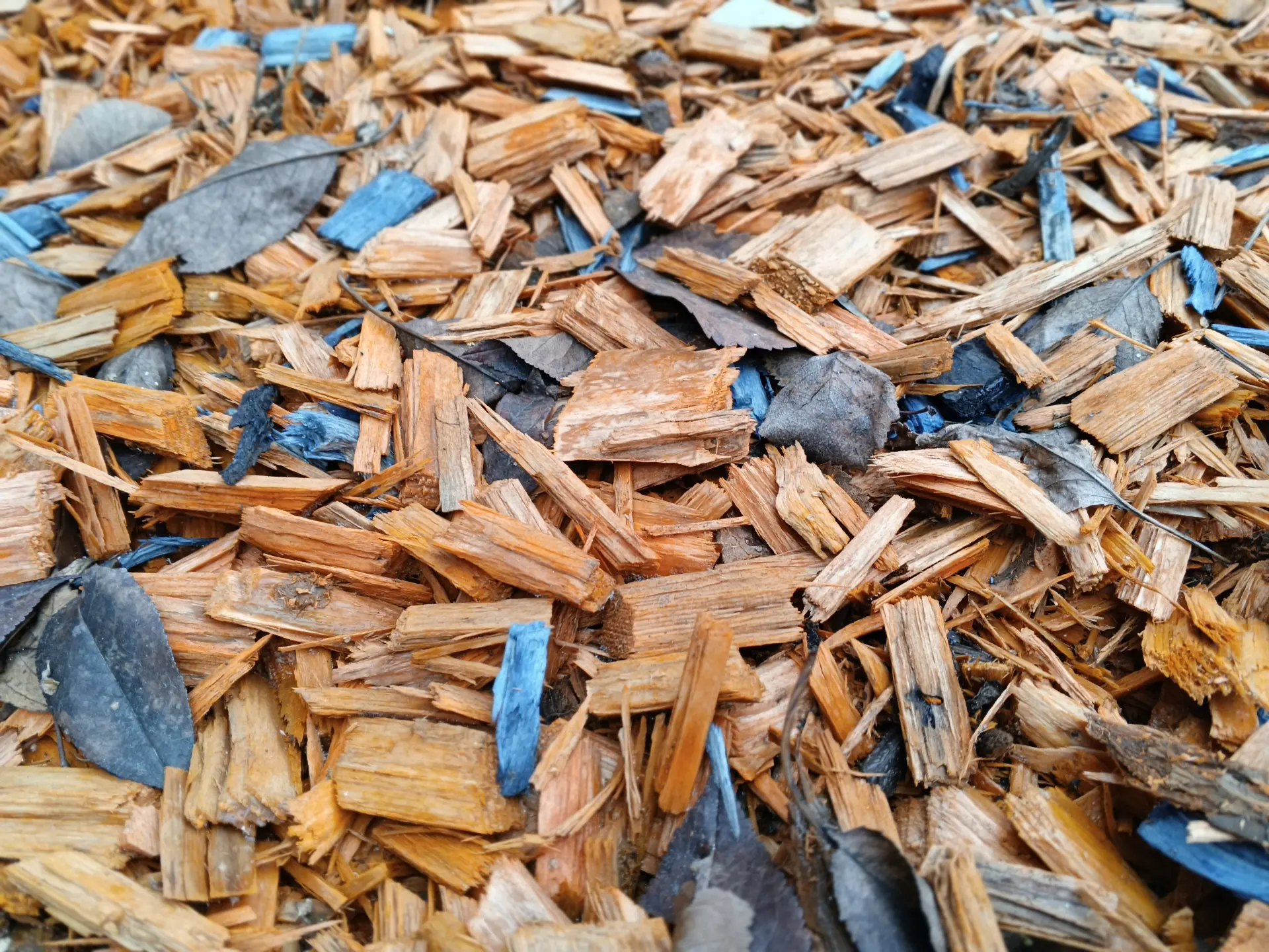 Обзор TECNO Spark 40 Pro+: элегантного смартфона с тонким корпусом и беспроводной зарядкой