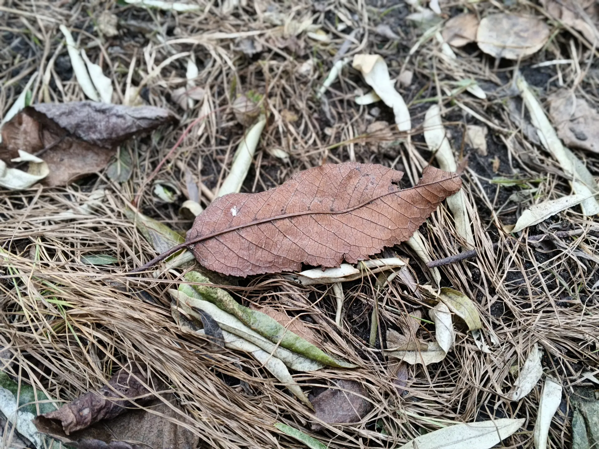 Обзор TECNO Spark 40 Pro+: элегантного смартфона с тонким корпусом и беспроводной зарядкой