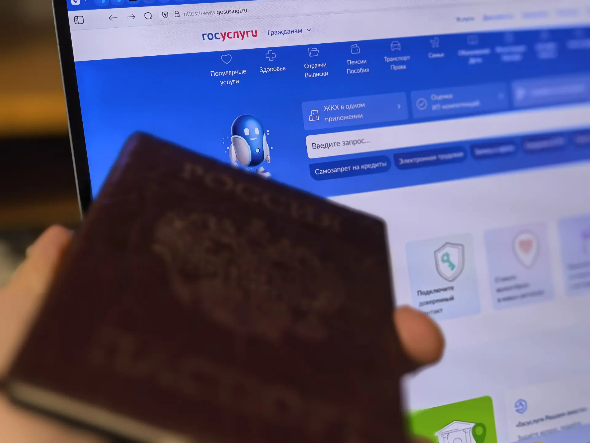 Госулсуги на ноутбуке и паспорт РФ