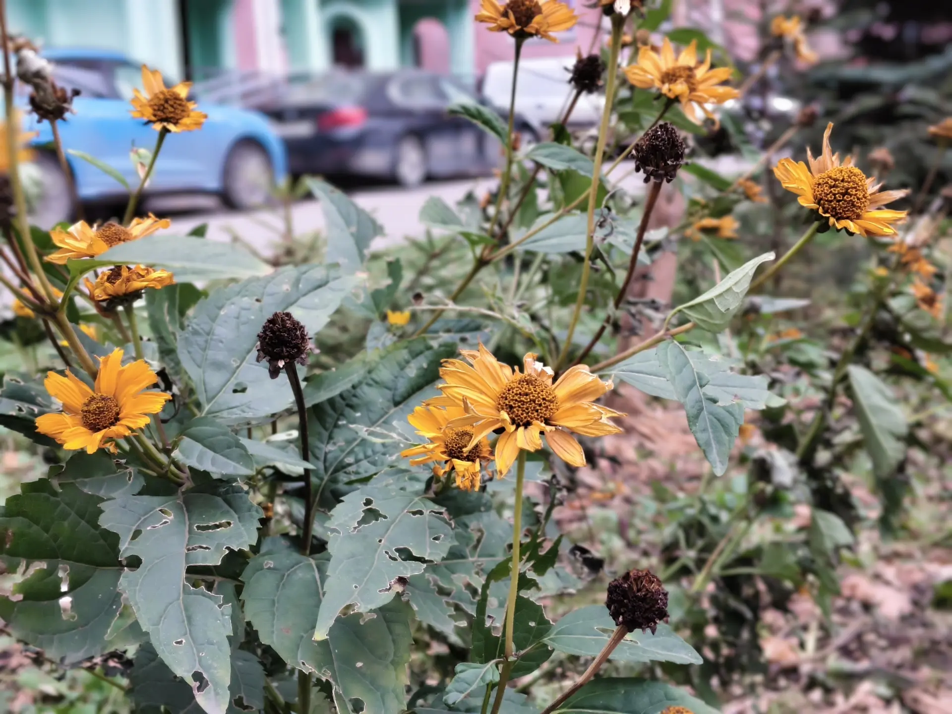 Обзор iQOO Z10R: смартфона с ёмкой батареей, крепким стеклом и хорошей селфи-камерой