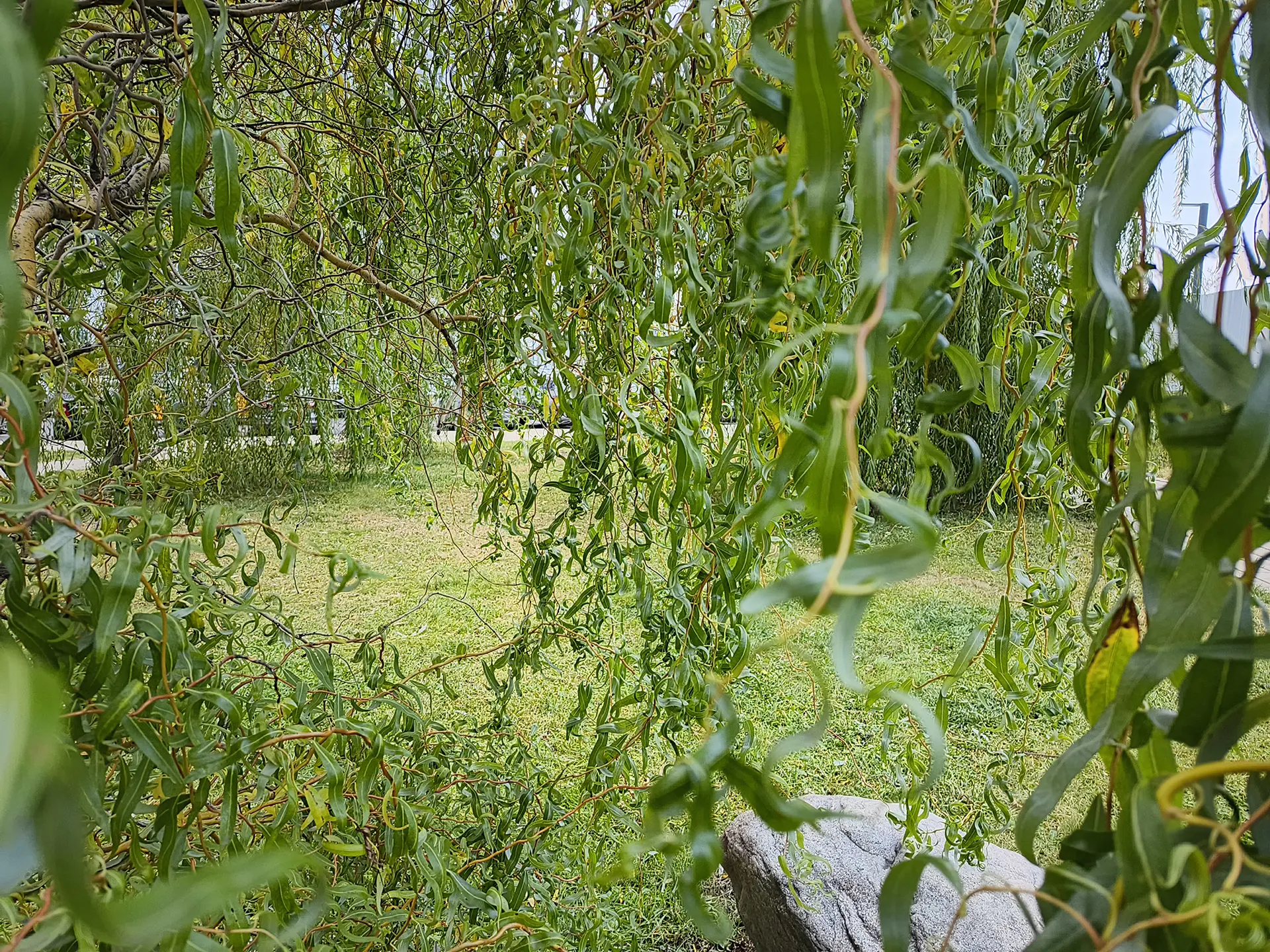 TECNO POVA 7 Ultra 5G: смартфон с балансом мощности, автономности и стиля