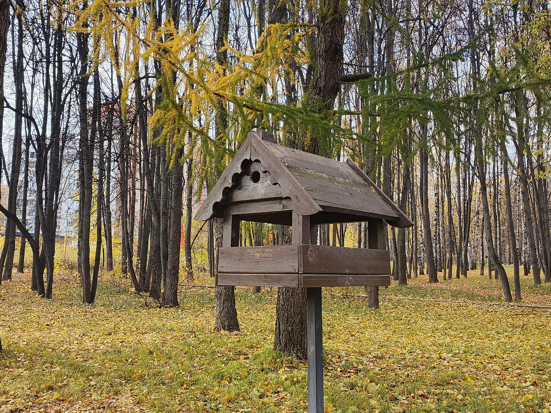 TECNO POVA 7 Ultra 5G: смартфон с балансом мощности, автономности и стиля