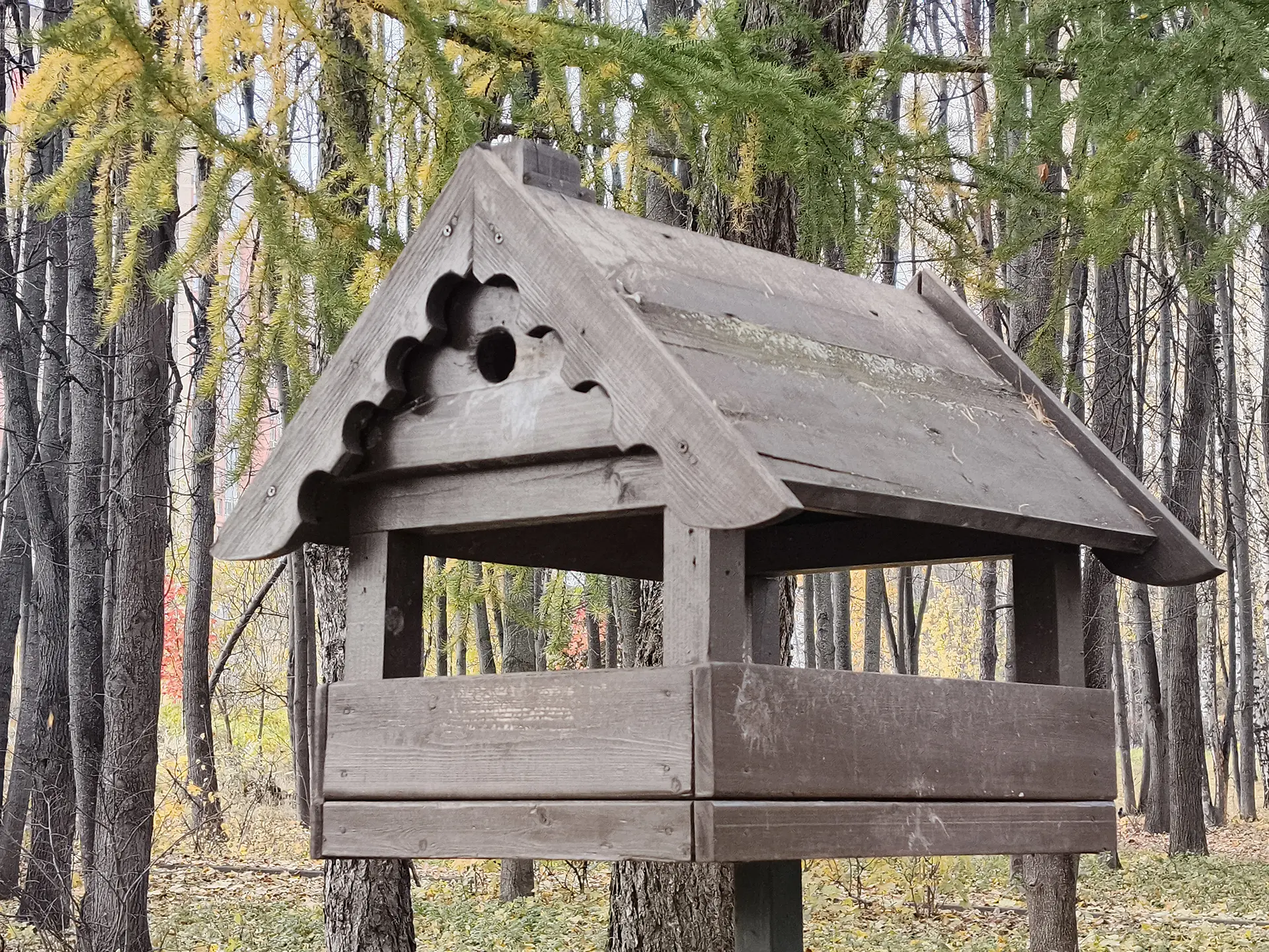 TECNO POVA 7 Ultra 5G: смартфон с балансом мощности, автономности и стиля