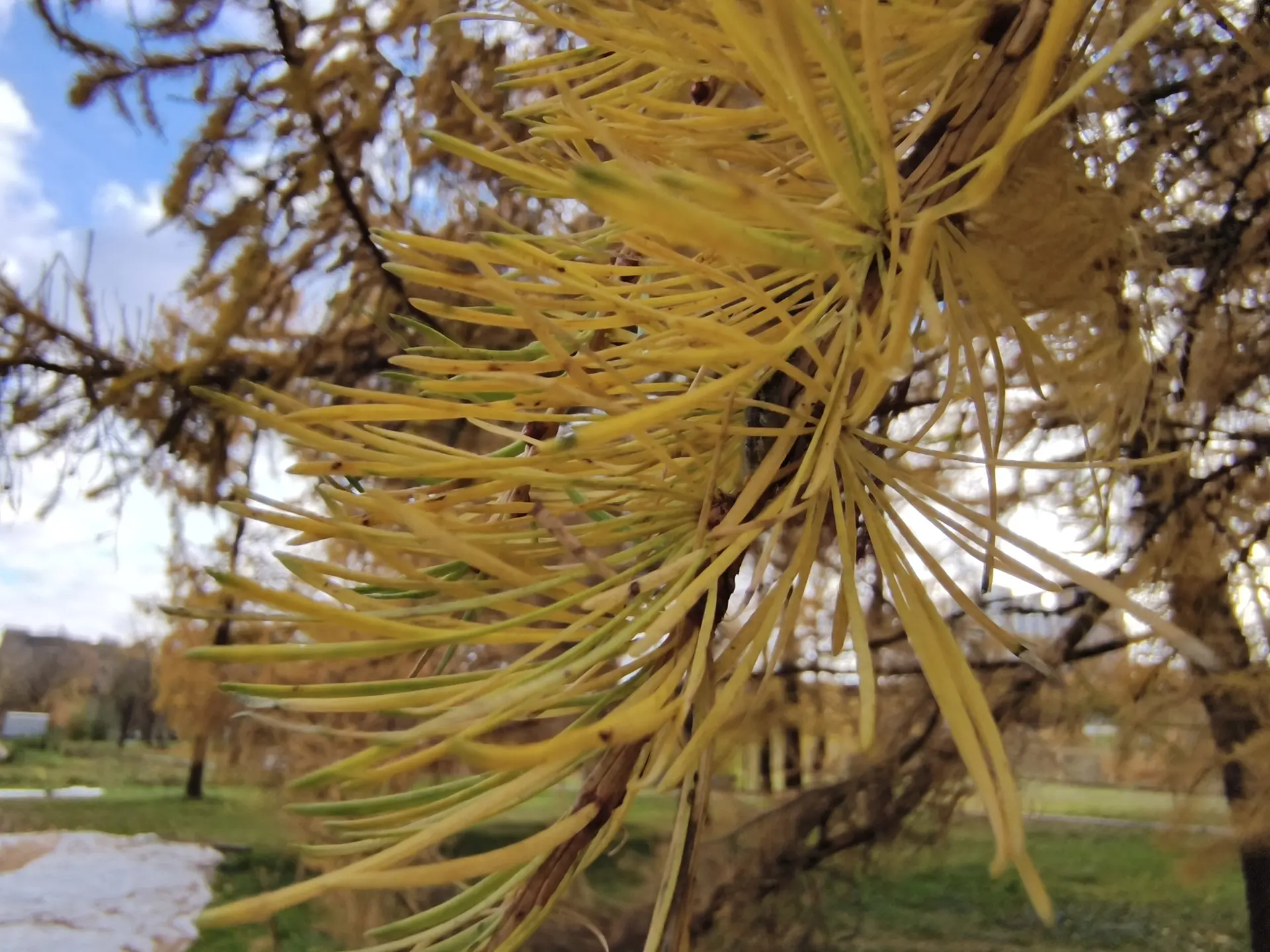 TECNO POVA 7 Ultra 5G: смартфон с балансом мощности, автономности и стиля