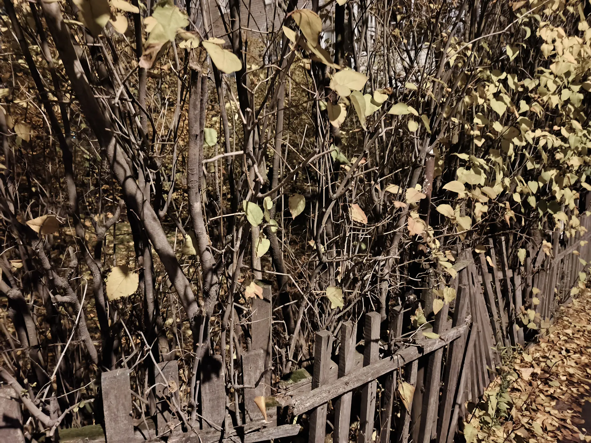 TECNO POVA 7 Ultra 5G: смартфон с балансом мощности, автономности и стиля