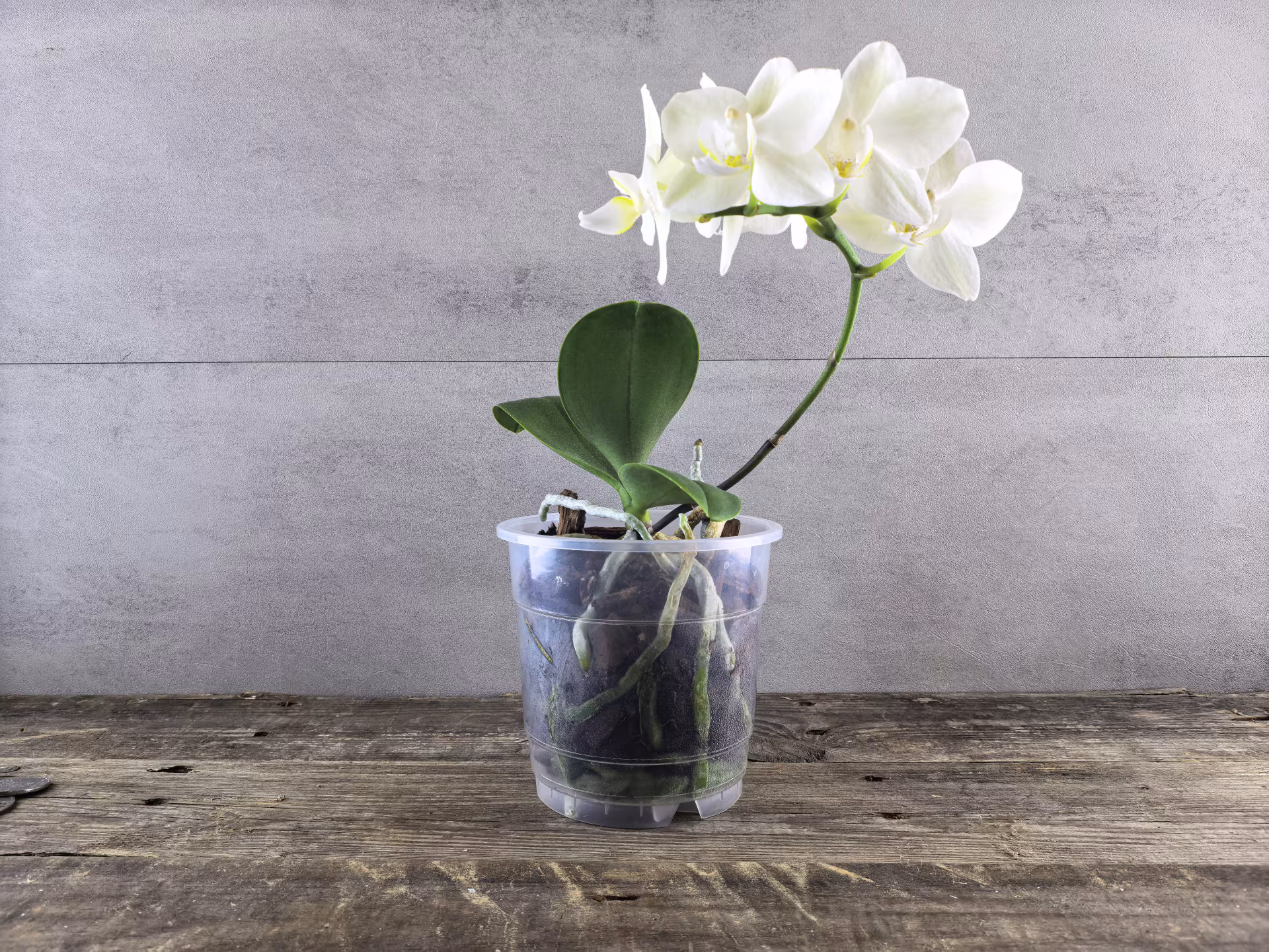 HUAWEI Pura 80: когда «база» не означает «компромисс»