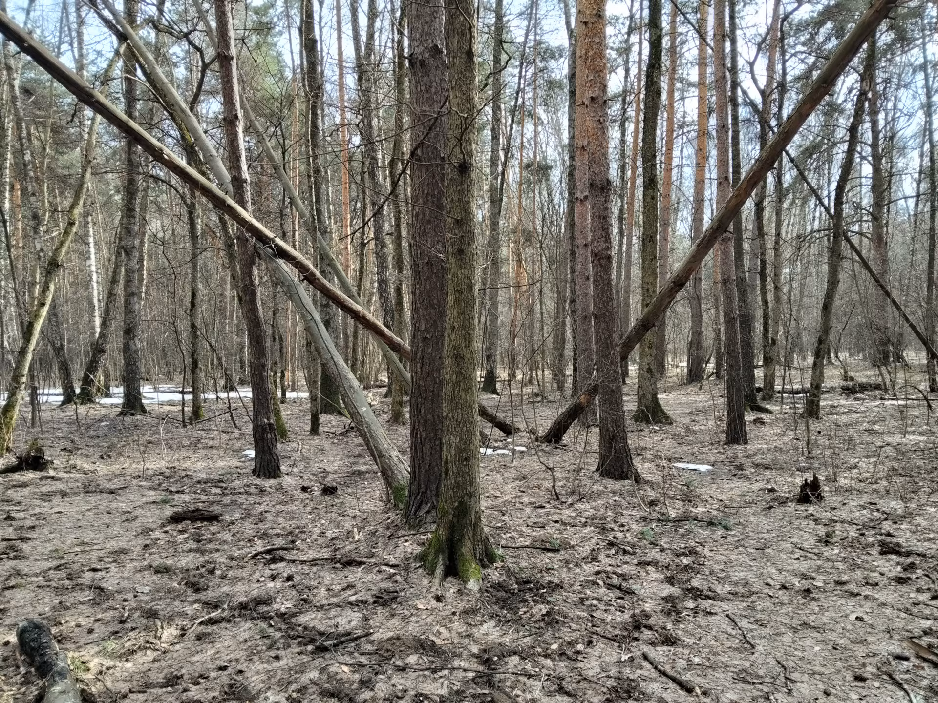 Обзор realme C85. Живучий «танк» на устаревающем процессоре