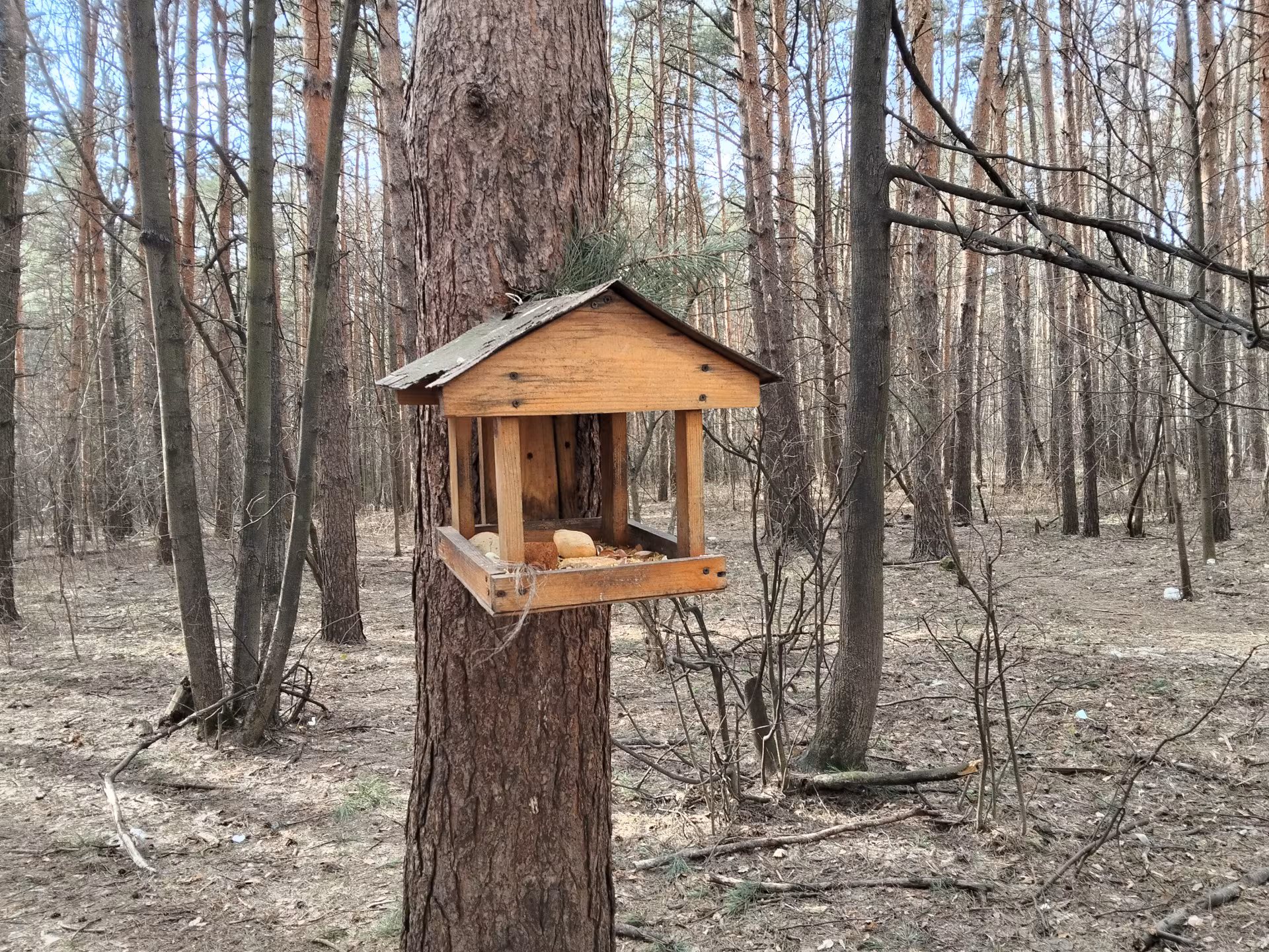 Обзор realme C85. Живучий «танк» на устаревающем процессоре