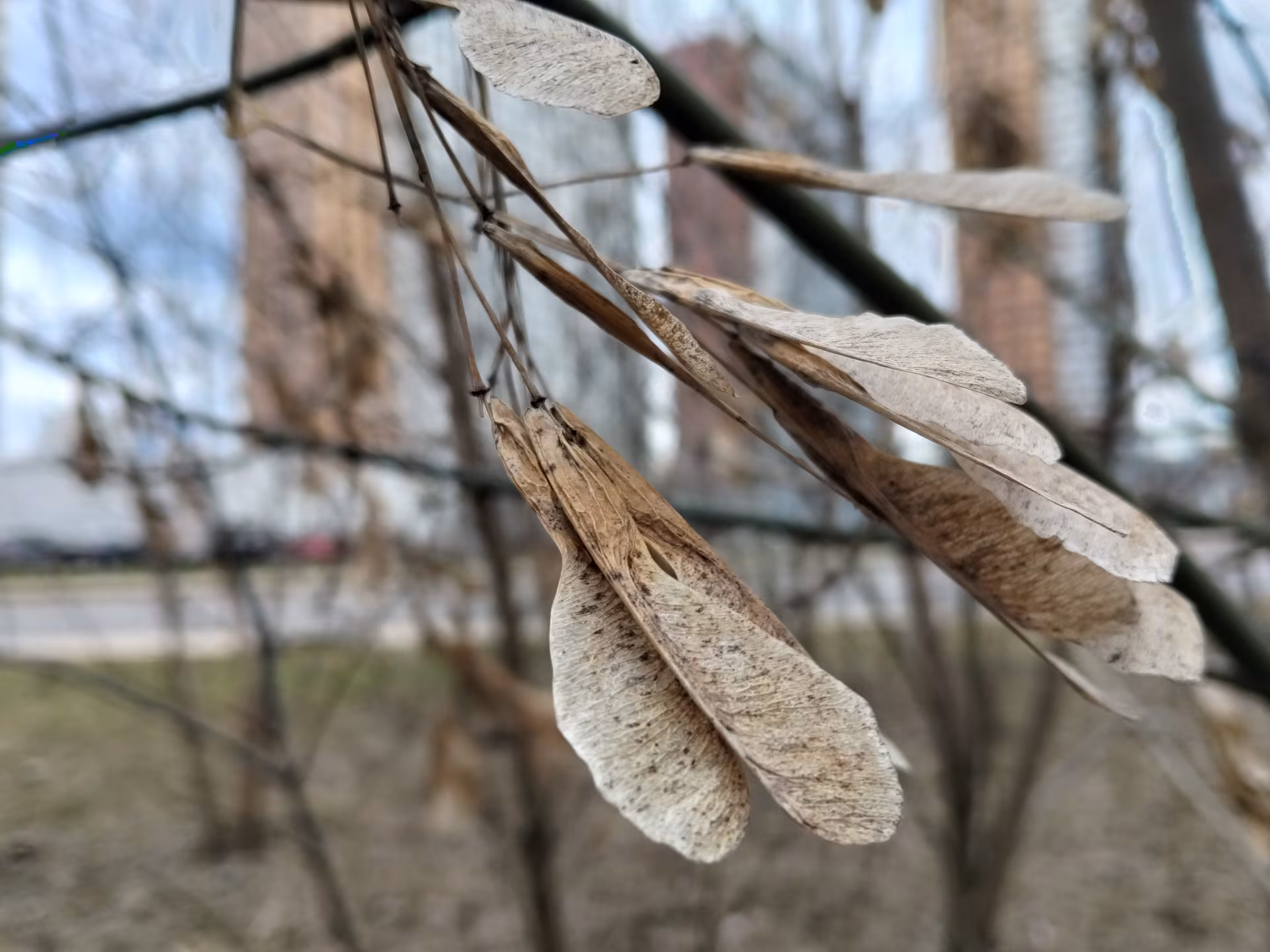 Обзор realme C85. Живучий «танк» на устаревающем процессоре