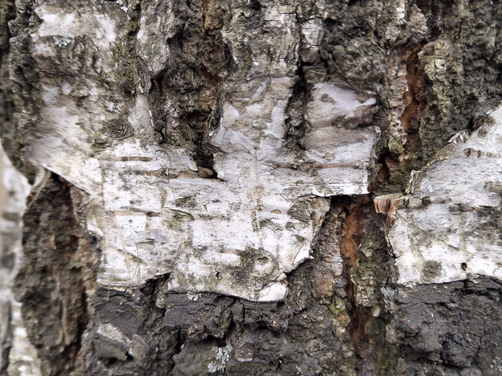 Обзор realme C85. Живучий «танк» на устаревающем процессоре