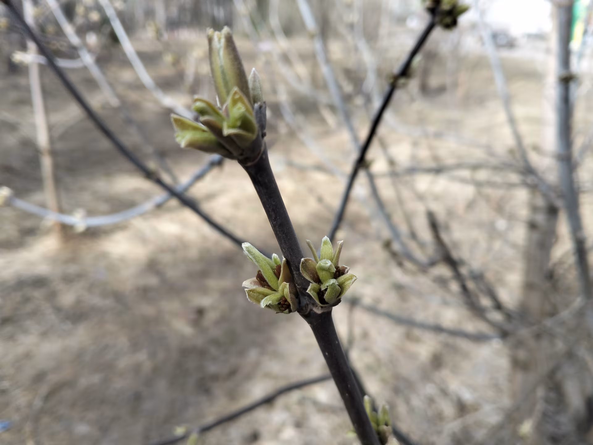 Обзор realme C85. Живучий «танк» на устаревающем процессоре