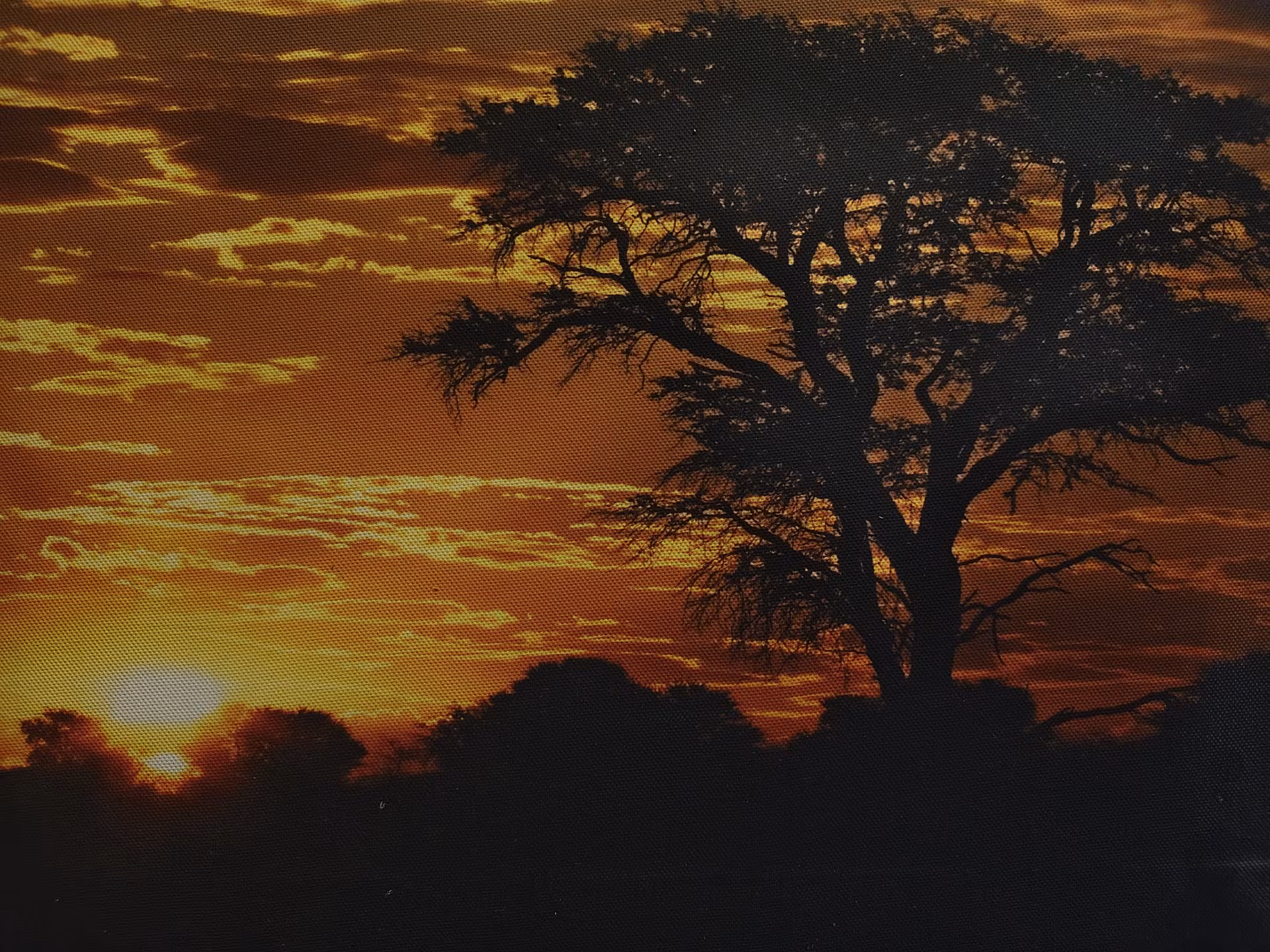 Обзор vivo V70: флагманские амбиции в металлическом корпусе