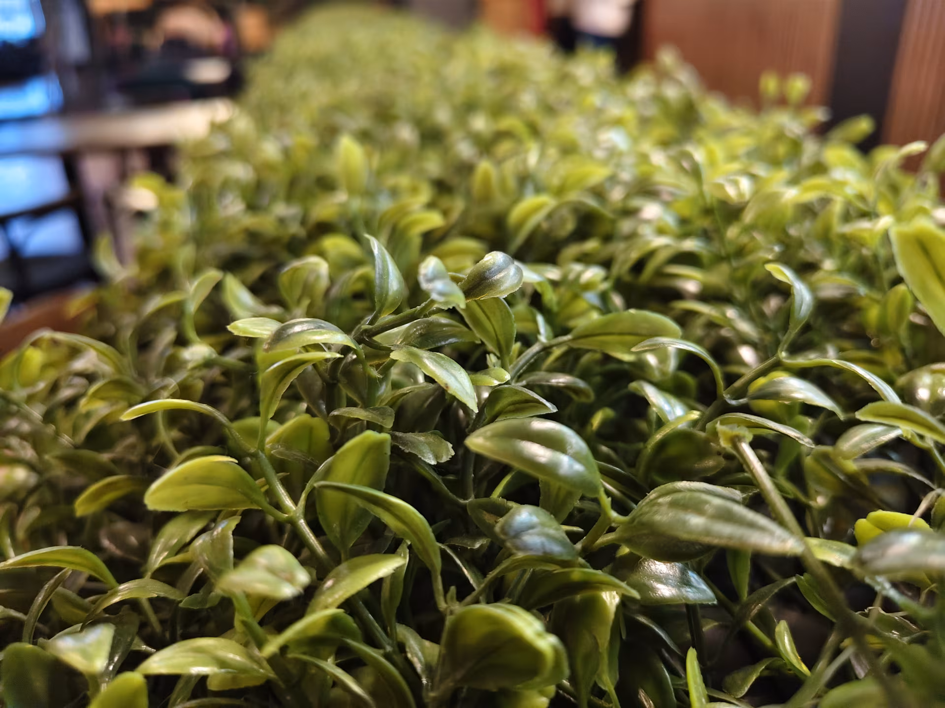 Обзор vivo V70: флагманские амбиции в металлическом корпусе