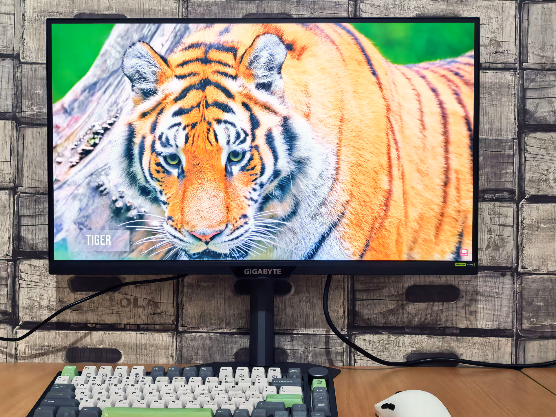 Обзор геймерского монитора GIGABYTE M27Q2 QD