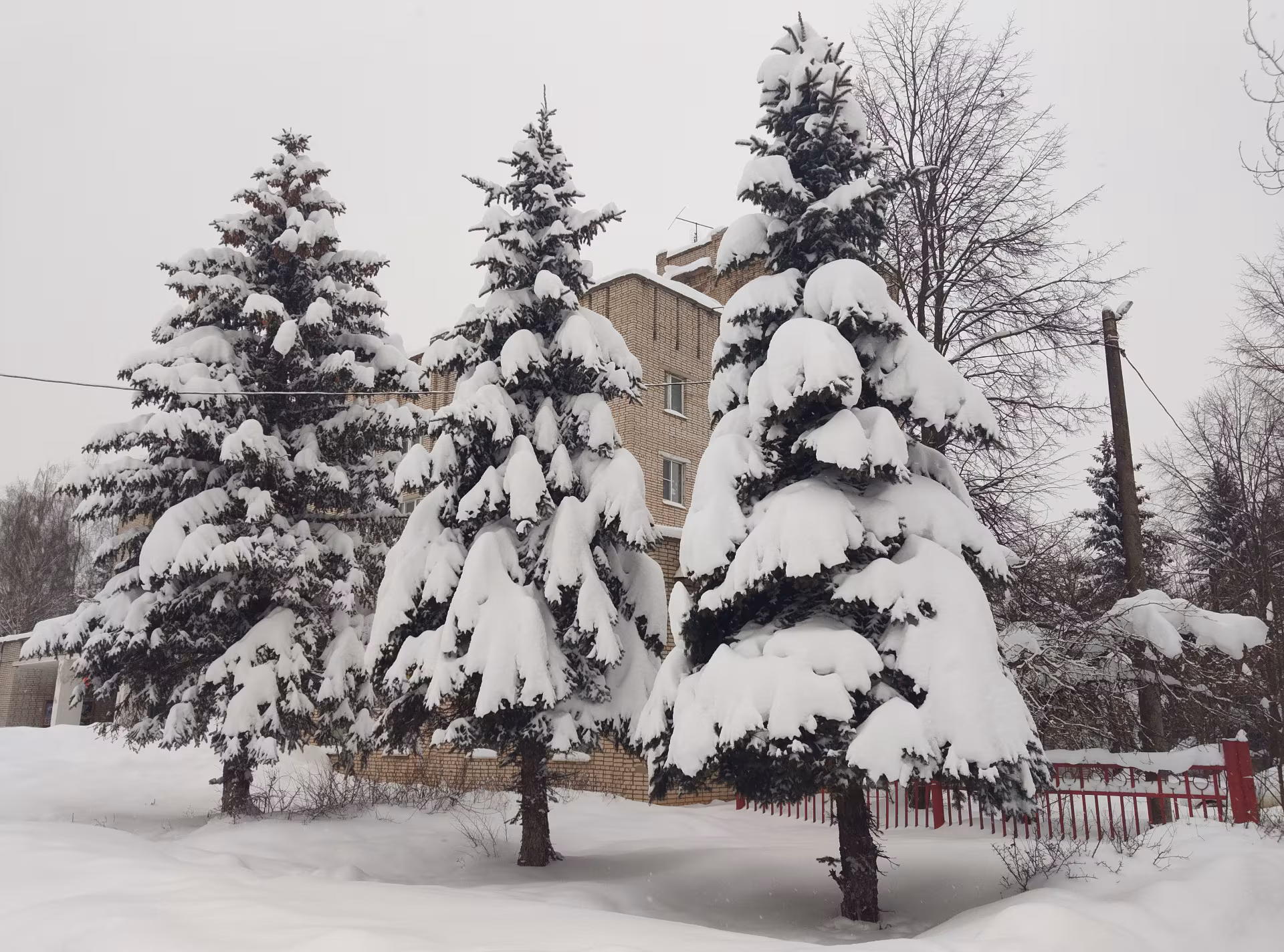 Обзор планшета REDMI Pad 2 Pro 5G