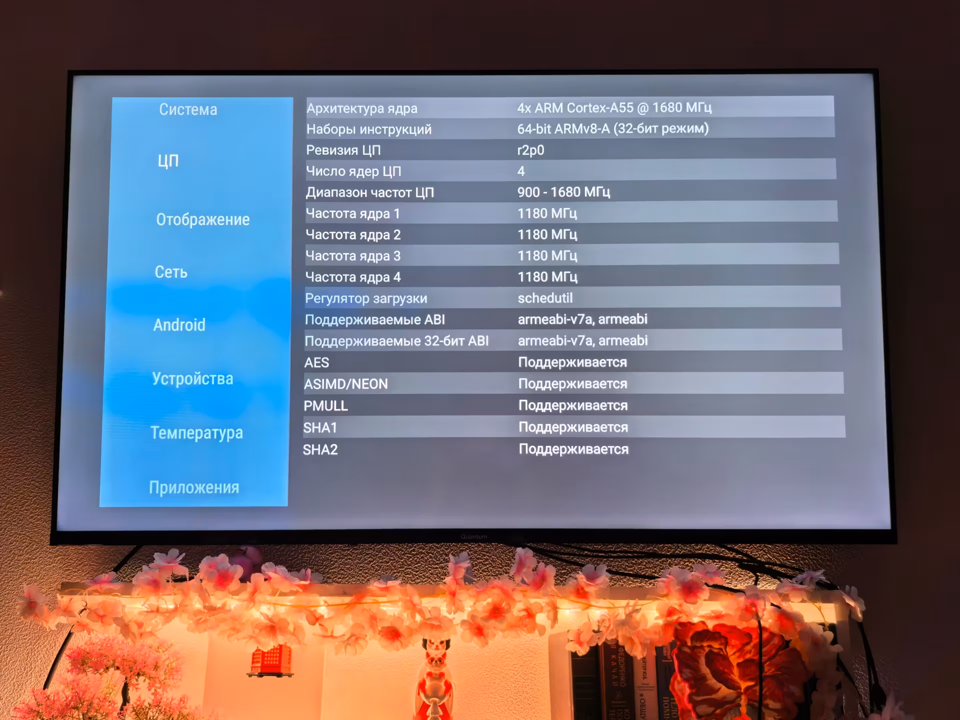 Диагностика в AIDA64 раскрыла приятные сюрпризы: платформу от Changhong на чипе MediaTek MT5896, свежий Android 14 и почти 23 ГБ свободной памяти