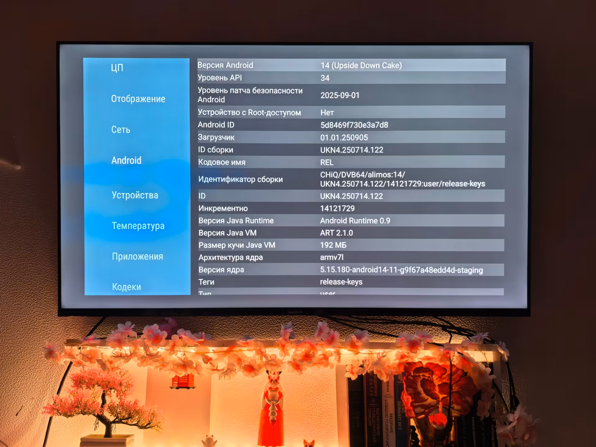 Диагностика в AIDA64 раскрыла приятные сюрпризы: платформу от Changhong на чипе MediaTek MT5896, свежий Android 14 и почти 23 ГБ свободной памяти